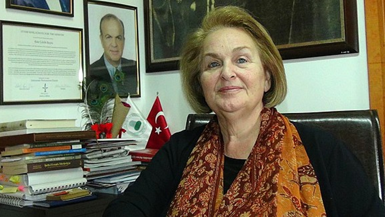 Mevlana'nın torunundan DiCaprio açıklaması