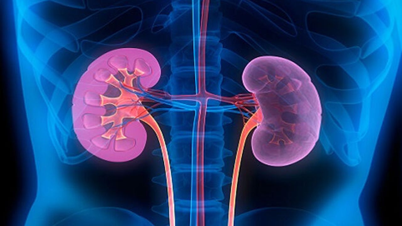 Kronik böbrek hastalığından korunmak için sekiz altın kural