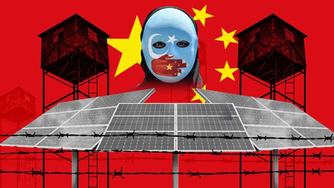 Çin, İngiliz ordusu için ürettiği güneş panellerinde Uygur 'köleleri' çalıştırıyor