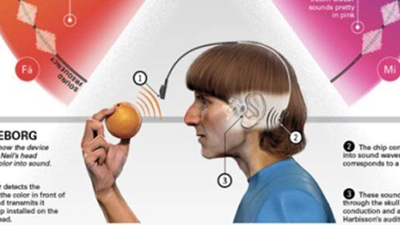 Renk körü adam kafasına kameralı anten taktırdı