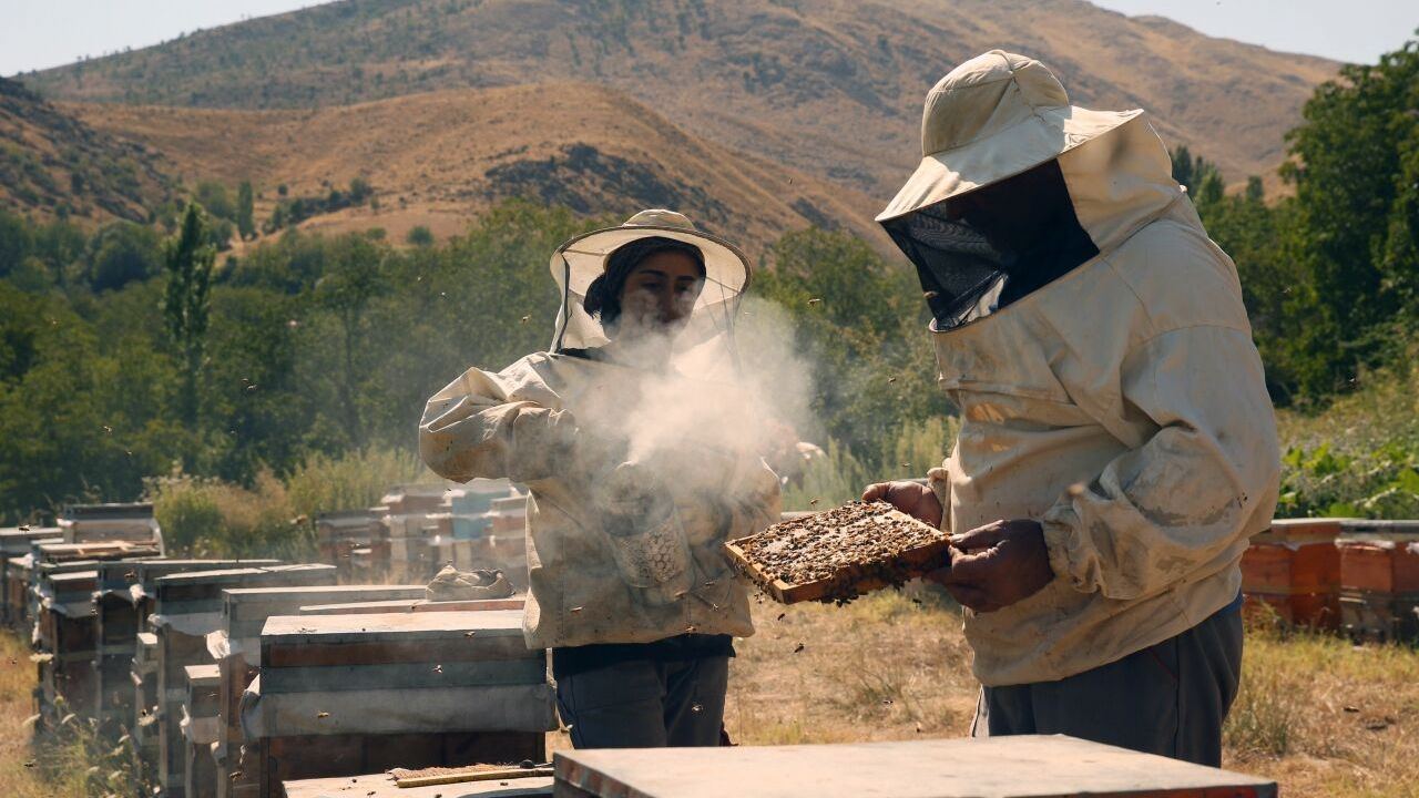 Bitlis'te bal hasadı yüksek verimle başladı