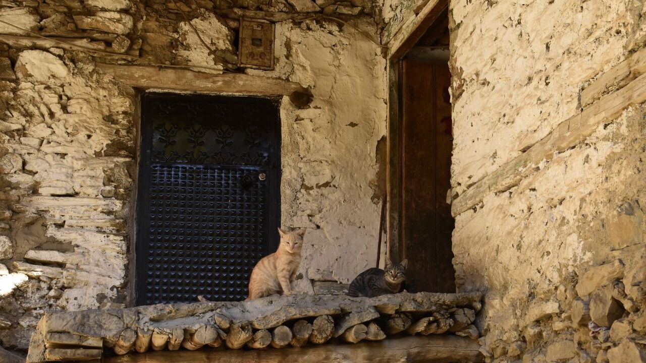 Bitlis'teki taş evlerde sonbahar güzelliği