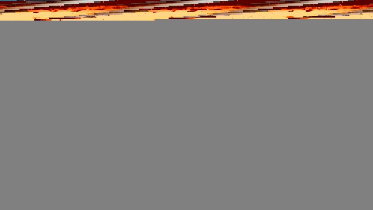 Bitlis'te yaralı kurt tedavi altına alındı