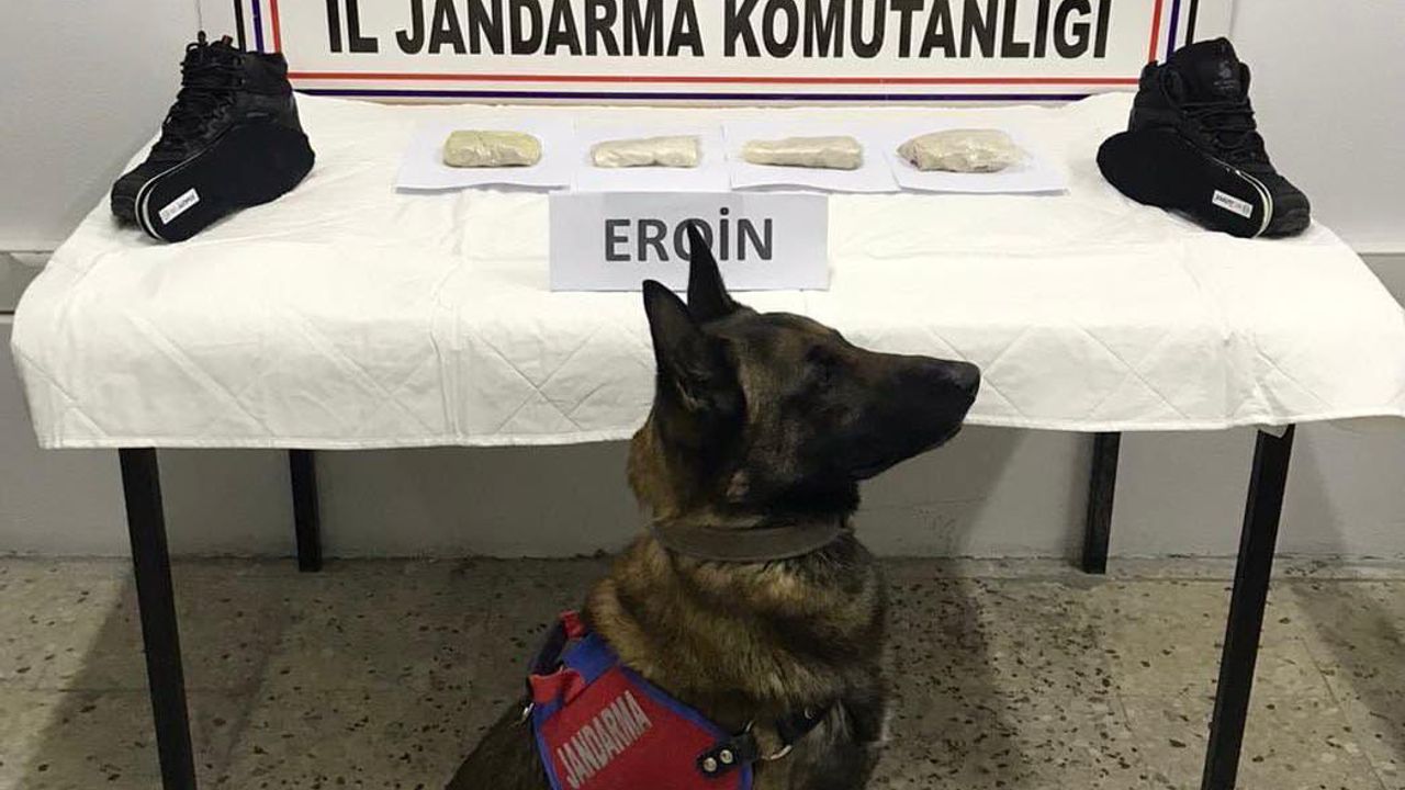Bitlis'te ayakkabı tabanına gizlenmiş 500 gram eroin ele geçirildi