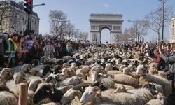 Paris'i koyunlar bastı