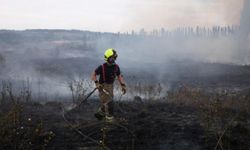 İngiltere'de 1 haftada 150 yangın