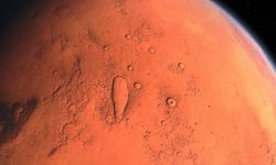 Mars'ta hangi bitki yetiştirilmeli?