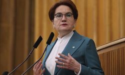 Meral Akşener'i köpek ısırdı