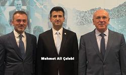 Bağımsız Milletvekili Mehmet Ali Çelebi AK Parti'ye katıldı