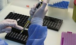 İngiltere'de laboratuvar skandalı