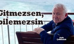 Halit ÇELİKBUDAK Yazdı