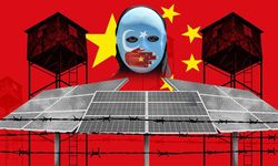 Çin, İngiliz ordusu için ürettiği güneş panellerinde Uygur 'köleleri' çalıştırıyor