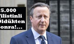 İngiliz Bakan Cameron'ın, Gazze 'temennisi!'