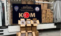 Anadolu Otoyolu'nda durdurulan araçta kaçak tütün ele geçirildi