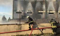 GÜNCELLEME 2 - Tekirdağ'da bir fabrikada çıkan yangın kontrol altına alındı