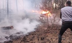 GÜNCELLEME - Kütahya'daki orman yangını kontrol altına alındı
