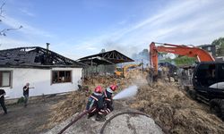 Sakarya'da çıkan çiftlik yangınında 1 kişi dumandan etkilendi