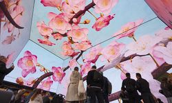 Londra'da yapılan dijital sanat gösterisi büyüledi