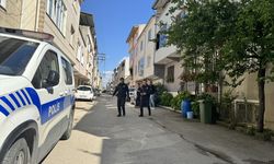 Bursa'da sahipsiz köpeklerin saldırısına uğrayan 3 çocuktan 2'si yaralandı