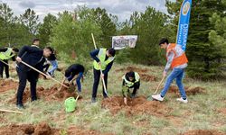 İç Anadolu'da "Orman Benim" etkinliği düzenlendi