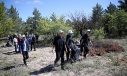 Konya, Afyonkarahisar ve Karaman'da "Orman Benim" etkinliği gerçekleştirildi