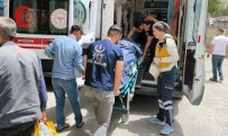 Siirt'te tarım aracının devrilmesi sonucu 4 kişi yaralandı