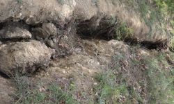 Tokat'ın Sulusaray ilçesinde arazide derin çatlaklar ortaya çıktı