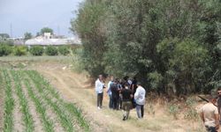 Antalya'da yol kenarında toprağa gömülmüş insan kemikleri bulundu