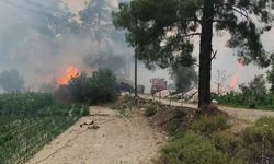 Burdur’da çıkan orman yangını kontrol altına alındı