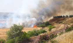 Diyarbakır'da buğday ekili alanda çıkan yangın söndürüldü