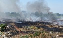 Düzce'de çöplük alanda çıkan yangın buğday ve mısır tarlalarına sıçradı