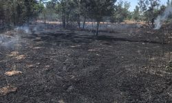 Eskişehir'de buğday tarlasında çıkan yangın söndürüldü