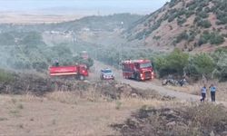 Gaziantep'te ormanlık alanda çıkan yangın söndürüldü