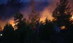 Çanakkale'de tarım arazisinde yangın çıktı