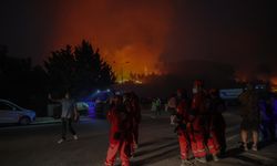 İzmir'in Selçuk ilçesinde orman yangını çıktı