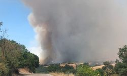 GÜNCELLEME - Balıkesir'de tarım arazisinde çıkan yangına müdahale ediliyor