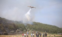 Ormanlık alanda çıkan yangın kontrol altına alındı