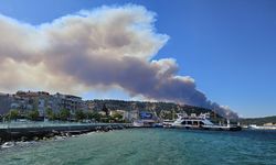 GÜNCELLEME - Çanakkale'deki orman yangını nedeniyle bir köy tedbiren boşaltıldı