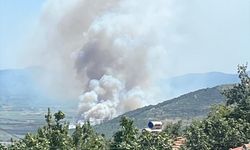 GÜNCELLEME - Manisa Soma'da çıkan orman yangını kontrol altına alındı