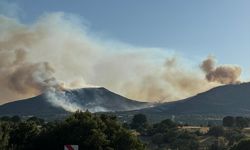 Uşak'ta orman yangınına müdahale ediliyor