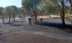 İzmir'in Karaburun ilçesinde orman yangını çıktı