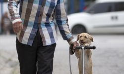 Sahiplendiği köpeği skuterle gezdirip salıncağa bindiriyor