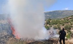 Tunceli'de otluk alanlarda çıkan yangınlar söndürüldü