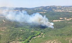 Balıkesir'de ormanlık alanda çıkan yangına müdahale ediliyor