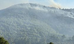 Bodrum'daki orman yangını havadan görüntülendi