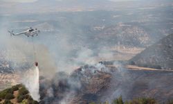 Denizli'de zirai ve makilik alanda etkili olan yangın söndürüldü
