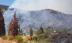 İzmir'de ormanlık alanda çıkan yangın kontrol altına alındı