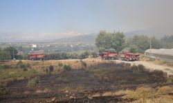 Hatay'da çıkan orman yangına müdahale ediliyor