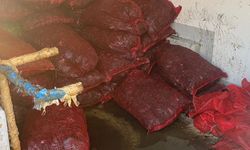 İstanbul'da 1 ton kaçak midye ele geçirildi