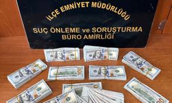 İzmir'de gayrimenkul dolandırıcısı Iraklı şüpheli Bursa'da yakalandı